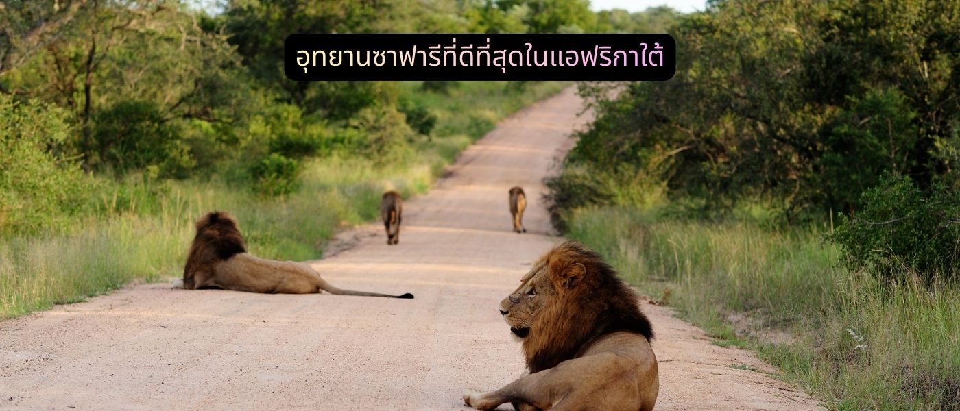 อุทยานซาฟารีที่ดีที่สุดในแอฟริกาใต้